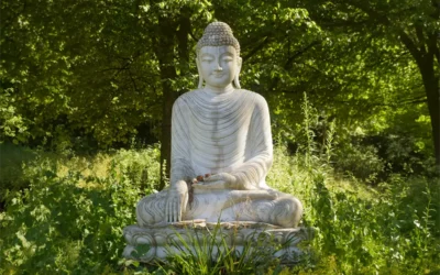 Online Kurs: Qi Gong – Daoismus – Meditation