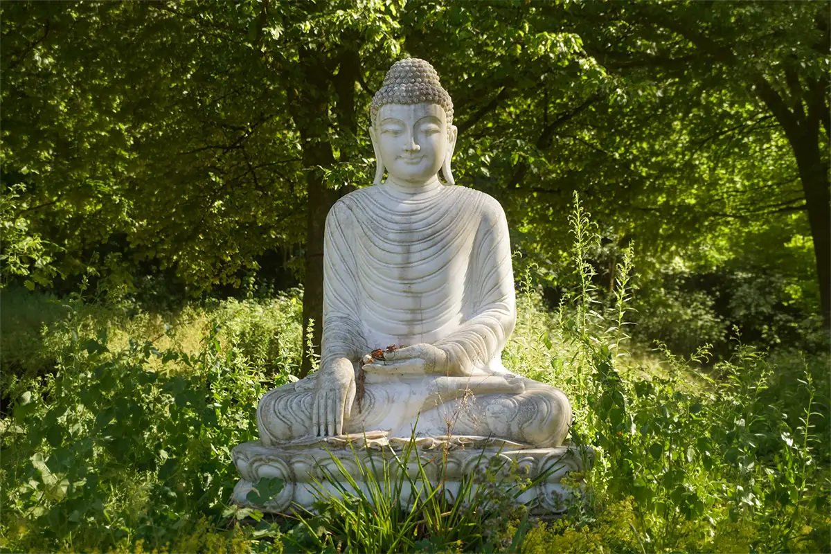 Buddha1_lang